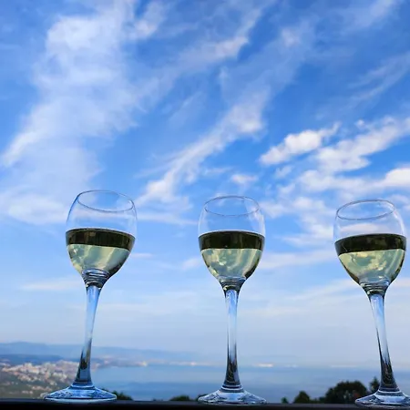 Uphill Apartment Opatija